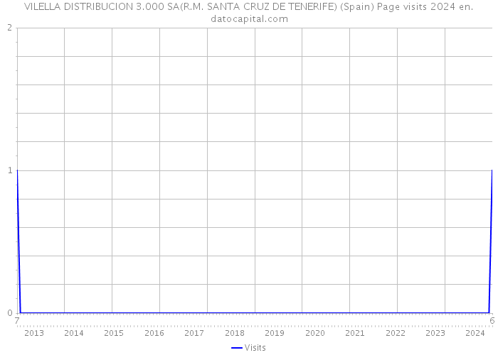 VILELLA DISTRIBUCION 3.000 SA(R.M. SANTA CRUZ DE TENERIFE) (Spain) Page visits 2024 