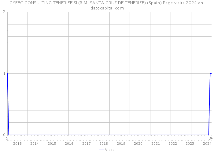 CYFEC CONSULTING TENERIFE SL(R.M. SANTA CRUZ DE TENERIFE) (Spain) Page visits 2024 