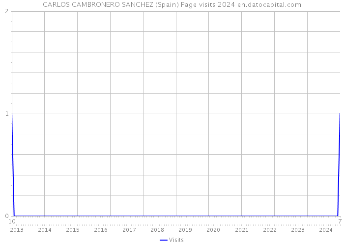 CARLOS CAMBRONERO SANCHEZ (Spain) Page visits 2024 