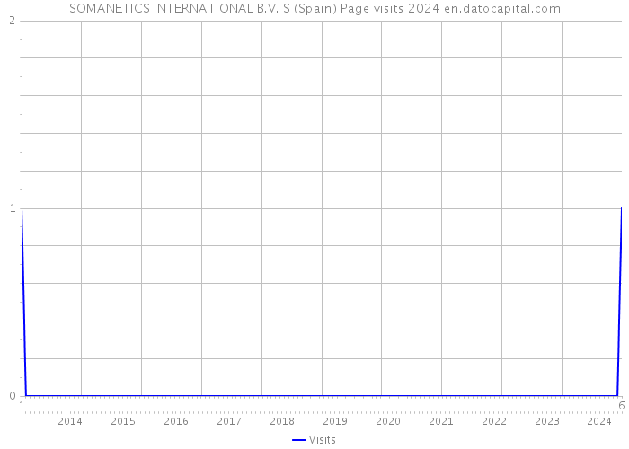 SOMANETICS INTERNATIONAL B.V. S (Spain) Page visits 2024 