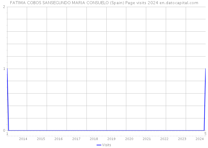 FATIMA COBOS SANSEGUNDO MARIA CONSUELO (Spain) Page visits 2024 