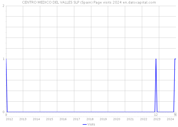 CENTRO MEDICO DEL VALLES SLP (Spain) Page visits 2024 