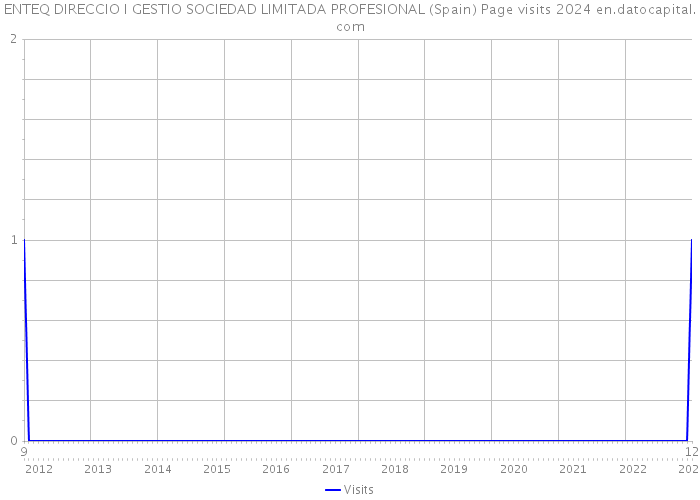 ENTEQ DIRECCIO I GESTIO SOCIEDAD LIMITADA PROFESIONAL (Spain) Page visits 2024 