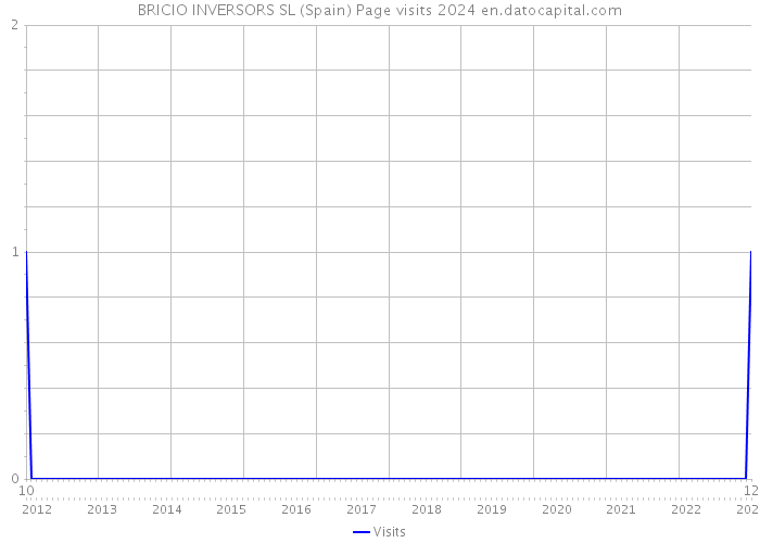 BRICIO INVERSORS SL (Spain) Page visits 2024 