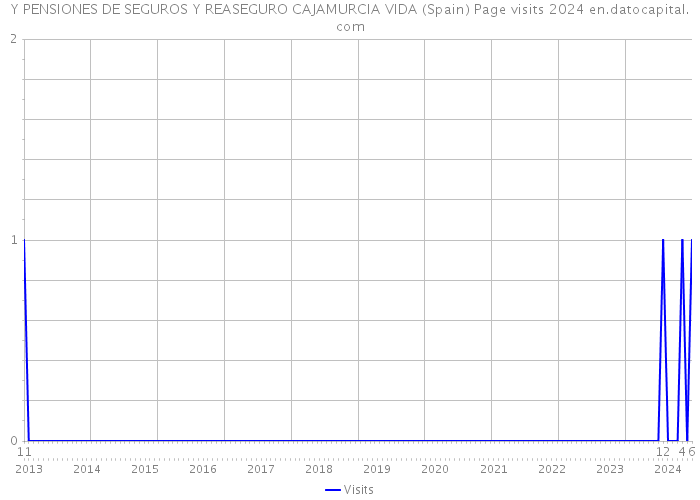 Y PENSIONES DE SEGUROS Y REASEGURO CAJAMURCIA VIDA (Spain) Page visits 2024 