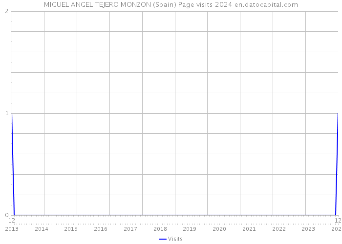 MIGUEL ANGEL TEJERO MONZON (Spain) Page visits 2024 