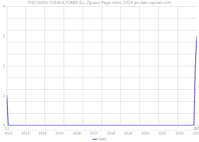 FISCONTA CONSULTORES S.L. (Spain) Page visits 2024 