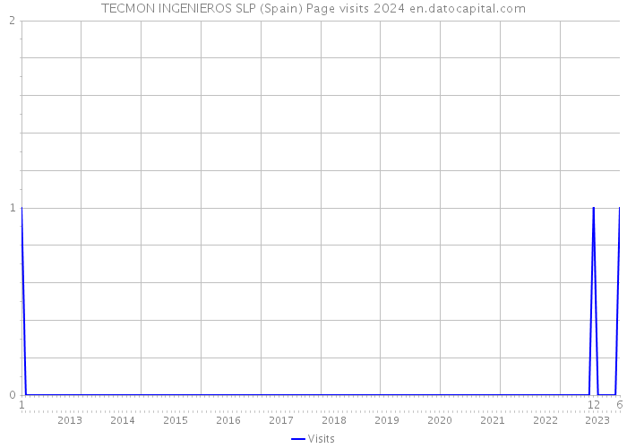 TECMON INGENIEROS SLP (Spain) Page visits 2024 