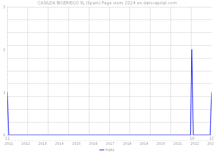 CASILDA BIGERIEGO SL (Spain) Page visits 2024 