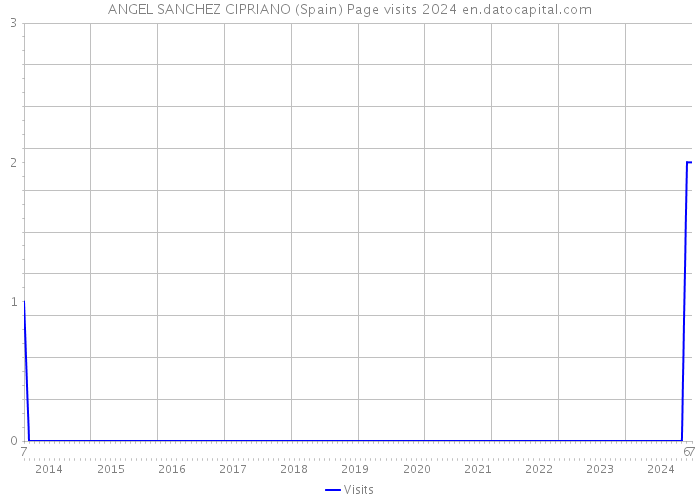 ANGEL SANCHEZ CIPRIANO (Spain) Page visits 2024 