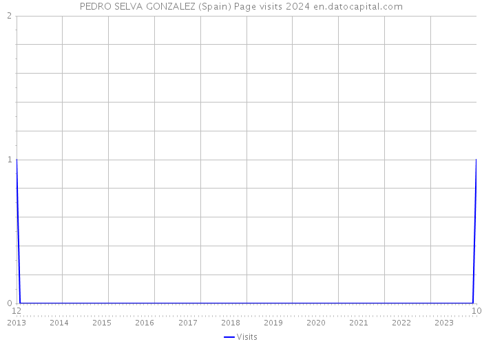 PEDRO SELVA GONZALEZ (Spain) Page visits 2024 
