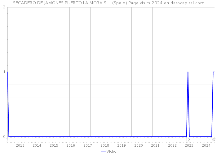 SECADERO DE JAMONES PUERTO LA MORA S.L. (Spain) Page visits 2024 