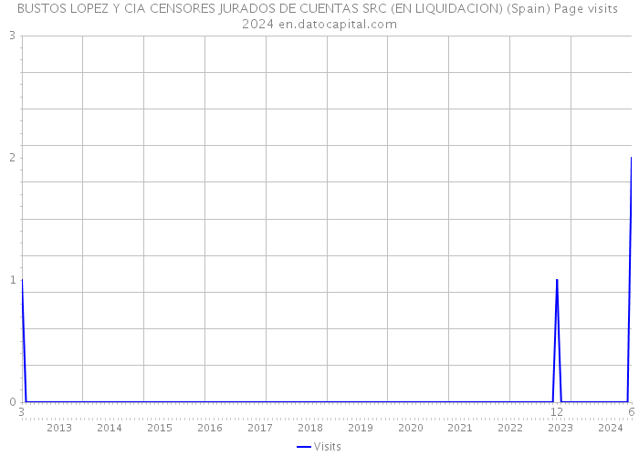 BUSTOS LOPEZ Y CIA CENSORES JURADOS DE CUENTAS SRC (EN LIQUIDACION) (Spain) Page visits 2024 