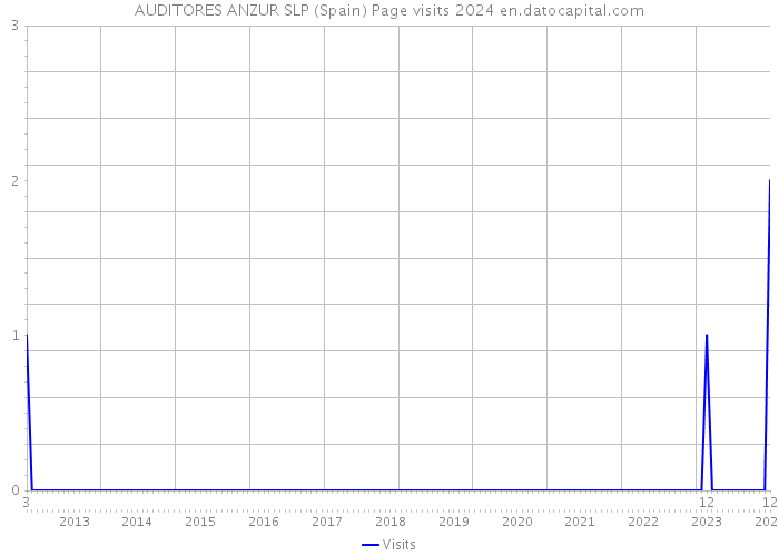 AUDITORES ANZUR SLP (Spain) Page visits 2024 
