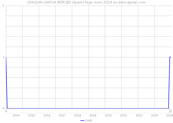 JOAQUIN GARCIA BORGES (Spain) Page visits 2024 