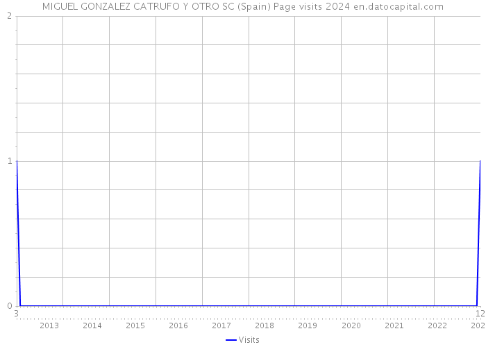 MIGUEL GONZALEZ CATRUFO Y OTRO SC (Spain) Page visits 2024 