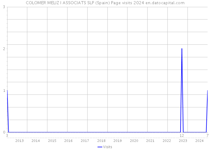 COLOMER MELIZ I ASSOCIATS SLP (Spain) Page visits 2024 