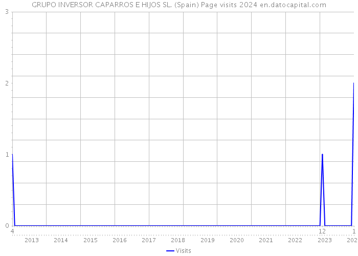 GRUPO INVERSOR CAPARROS E HIJOS SL. (Spain) Page visits 2024 