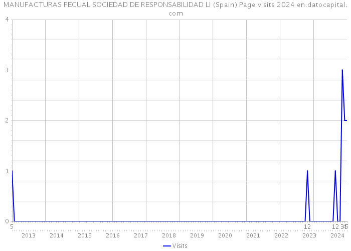 MANUFACTURAS PECUAL SOCIEDAD DE RESPONSABILIDAD LI (Spain) Page visits 2024 