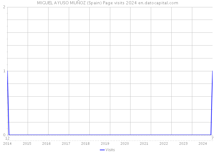 MIGUEL AYUSO MUÑOZ (Spain) Page visits 2024 