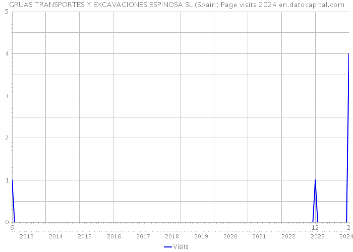 GRUAS TRANSPORTES Y EXCAVACIONES ESPINOSA SL (Spain) Page visits 2024 