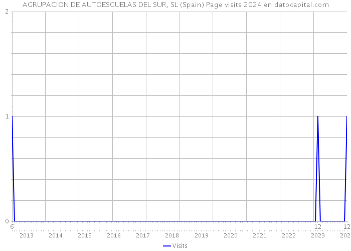 AGRUPACION DE AUTOESCUELAS DEL SUR, SL (Spain) Page visits 2024 