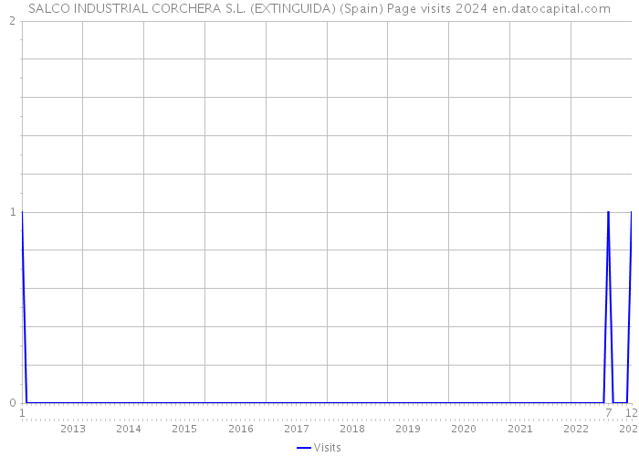SALCO INDUSTRIAL CORCHERA S.L. (EXTINGUIDA) (Spain) Page visits 2024 