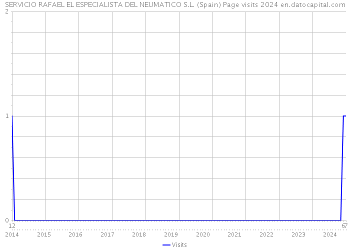 SERVICIO RAFAEL EL ESPECIALISTA DEL NEUMATICO S.L. (Spain) Page visits 2024 