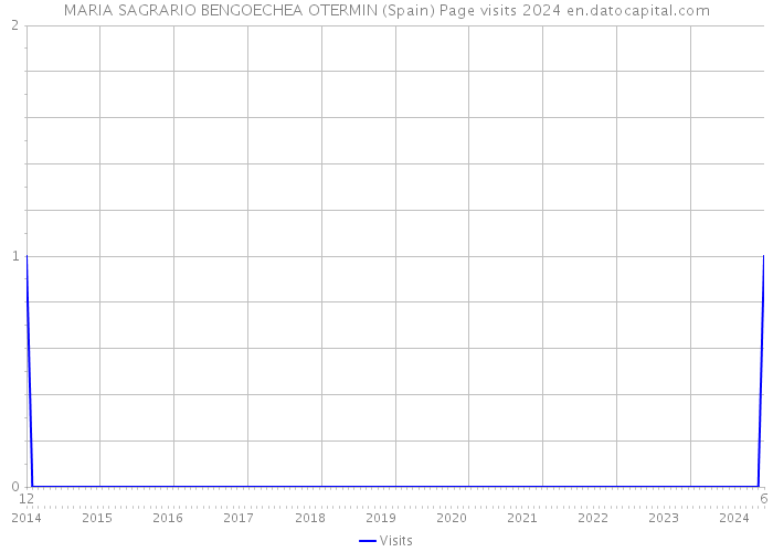 MARIA SAGRARIO BENGOECHEA OTERMIN (Spain) Page visits 2024 