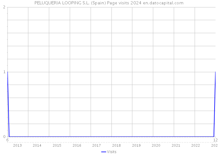 PELUQUERIA LOOPING S.L. (Spain) Page visits 2024 