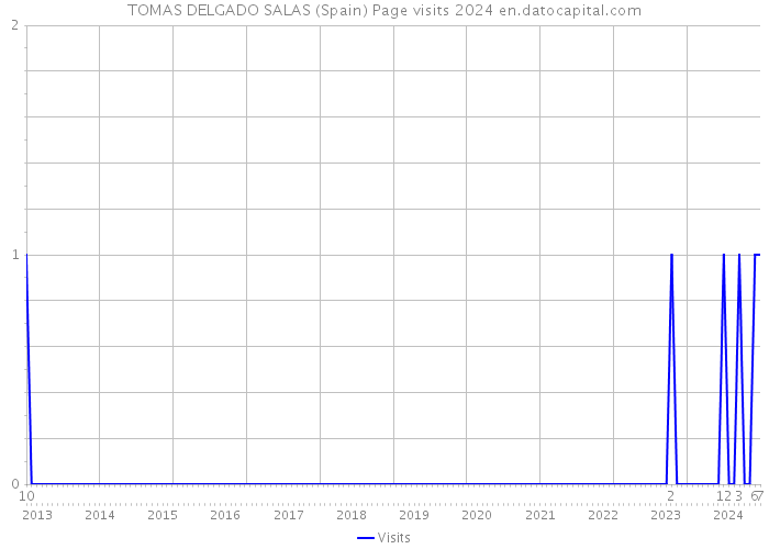 TOMAS DELGADO SALAS (Spain) Page visits 2024 