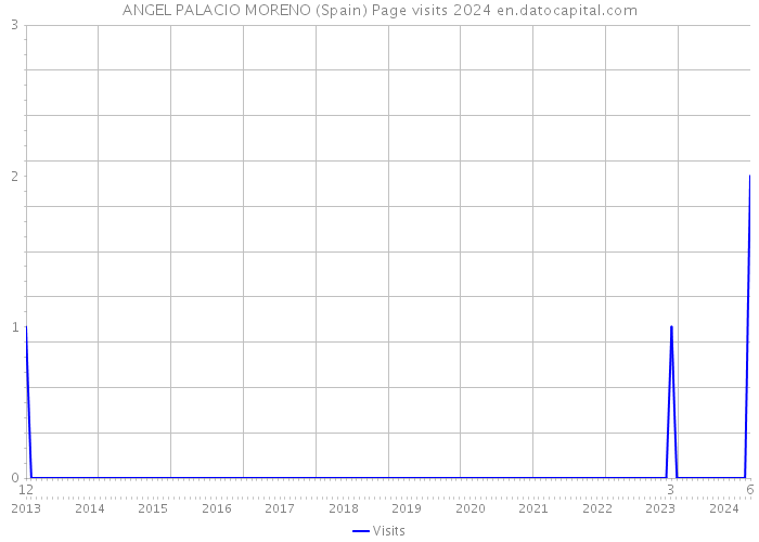 ANGEL PALACIO MORENO (Spain) Page visits 2024 