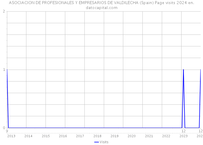 ASOCIACION DE PROFESIONALES Y EMPRESARIOS DE VALDILECHA (Spain) Page visits 2024 