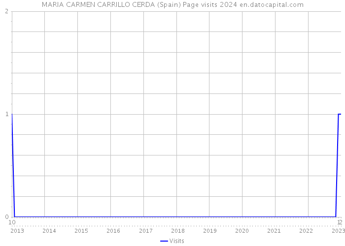 MARIA CARMEN CARRILLO CERDA (Spain) Page visits 2024 