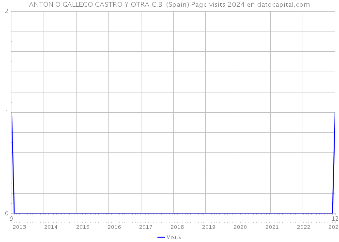 ANTONIO GALLEGO CASTRO Y OTRA C.B. (Spain) Page visits 2024 
