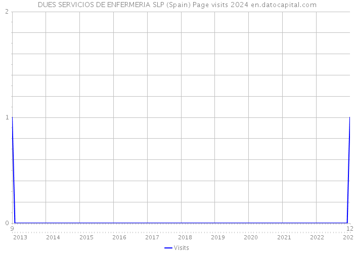 DUES SERVICIOS DE ENFERMERIA SLP (Spain) Page visits 2024 