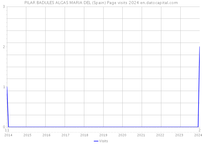 PILAR BADULES ALGAS MARIA DEL (Spain) Page visits 2024 