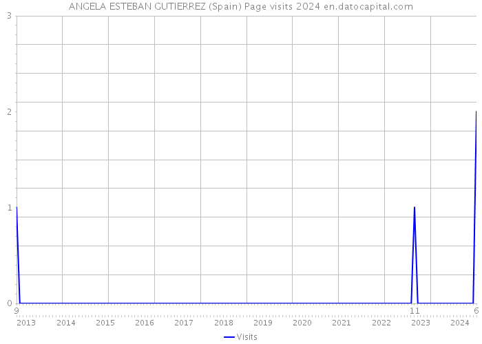 ANGELA ESTEBAN GUTIERREZ (Spain) Page visits 2024 