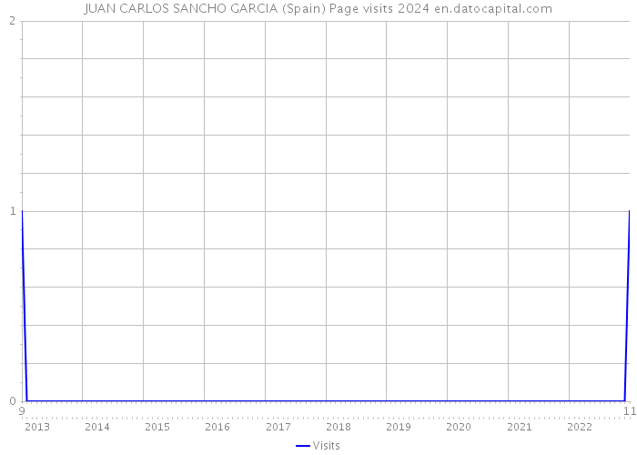 JUAN CARLOS SANCHO GARCIA (Spain) Page visits 2024 