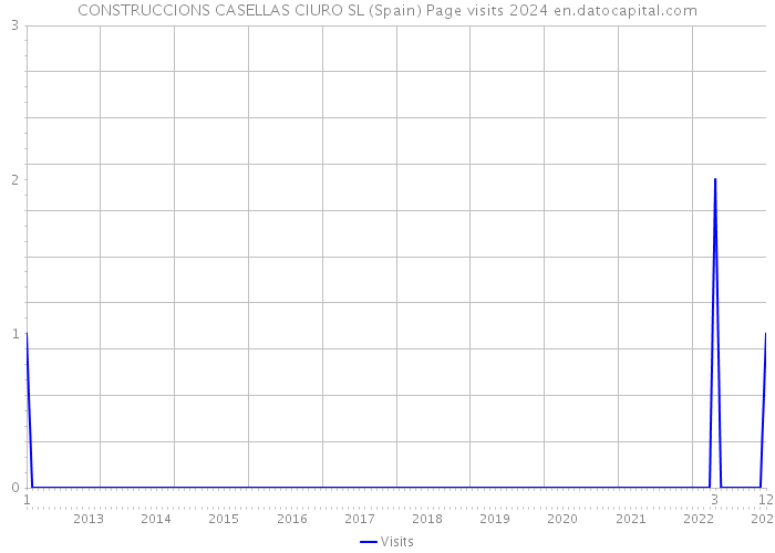 CONSTRUCCIONS CASELLAS CIURO SL (Spain) Page visits 2024 