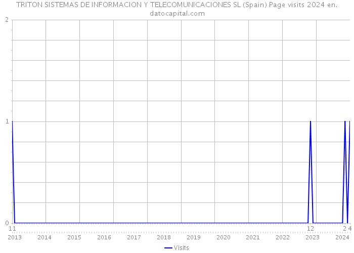 TRITON SISTEMAS DE INFORMACION Y TELECOMUNICACIONES SL (Spain) Page visits 2024 