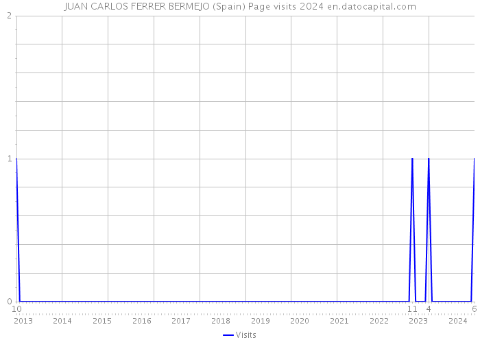 JUAN CARLOS FERRER BERMEJO (Spain) Page visits 2024 