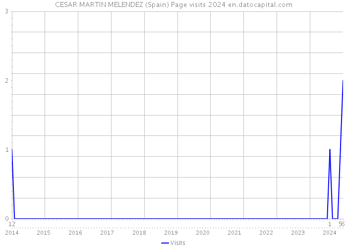 CESAR MARTIN MELENDEZ (Spain) Page visits 2024 