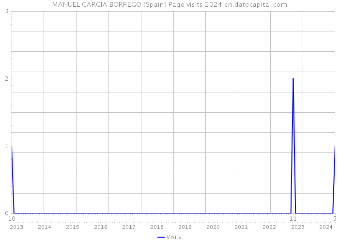 MANUEL GARCIA BORREGO (Spain) Page visits 2024 