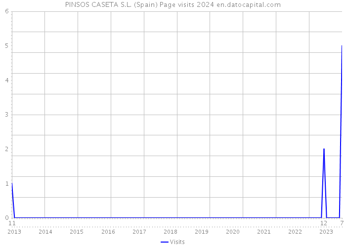 PINSOS CASETA S.L. (Spain) Page visits 2024 