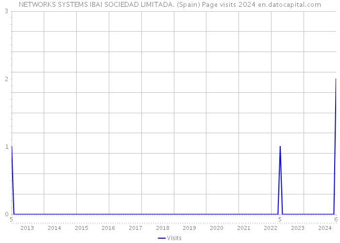 NETWORKS SYSTEMS IBAI SOCIEDAD LIMITADA. (Spain) Page visits 2024 