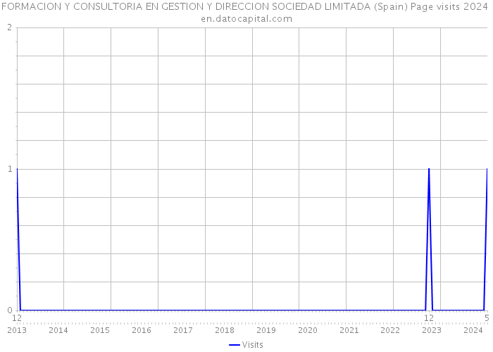 FORMACION Y CONSULTORIA EN GESTION Y DIRECCION SOCIEDAD LIMITADA (Spain) Page visits 2024 