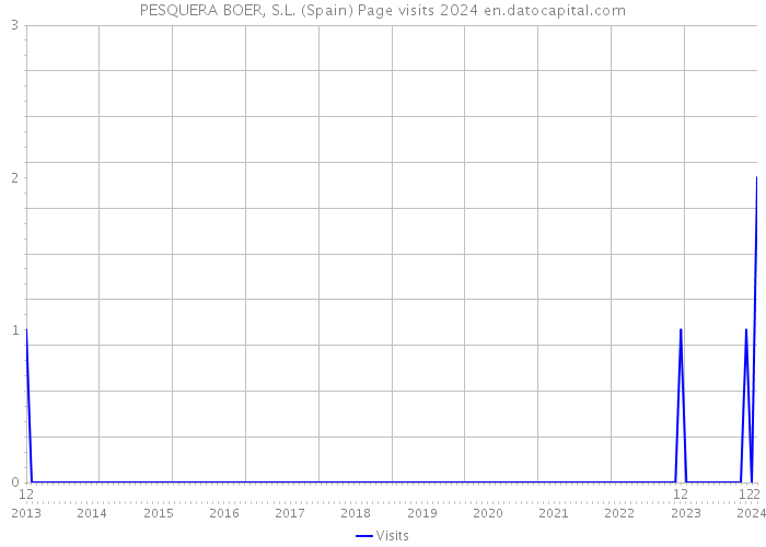 PESQUERA BOER, S.L. (Spain) Page visits 2024 