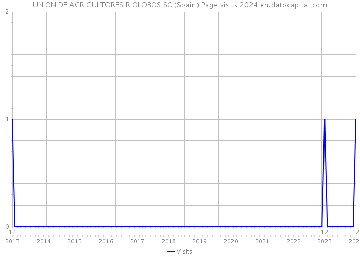 UNION DE AGRICULTORES RIOLOBOS SC (Spain) Page visits 2024 