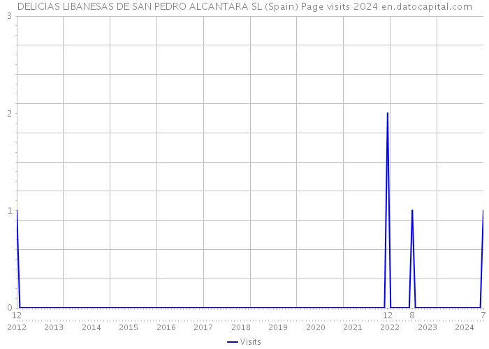 DELICIAS LIBANESAS DE SAN PEDRO ALCANTARA SL (Spain) Page visits 2024 
